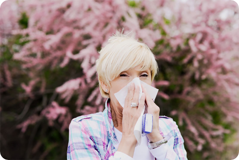 Allergi nysning